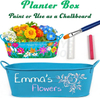 Набор для садоводства «Раскрась и выращивай цветы»