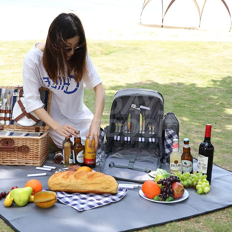Рюкзак для пикника со съемным держателем для бутылок/вин, флисовым одеялом, тарелками и набором столовых приборов MDSCA-2
