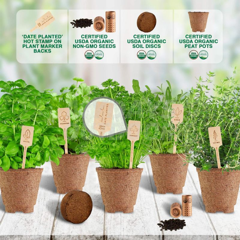 DIY Kitchen Grow Kit Starter Kit для комнатных трав в саду