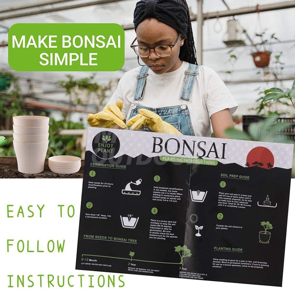 Набор для выращивания бонсай - Стартовый набор для деревьев бонсай премиум-класса