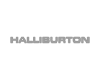 logo_31_halliburton-1